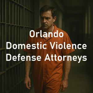 Orlando Domestic Violence Defense Lawyers