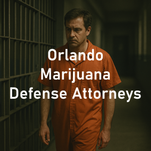 Orlando Marijuana Defense Lawyers